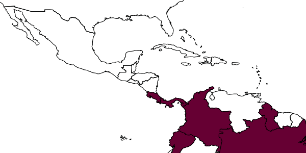 map of Nitela bifida     Menke, 1969